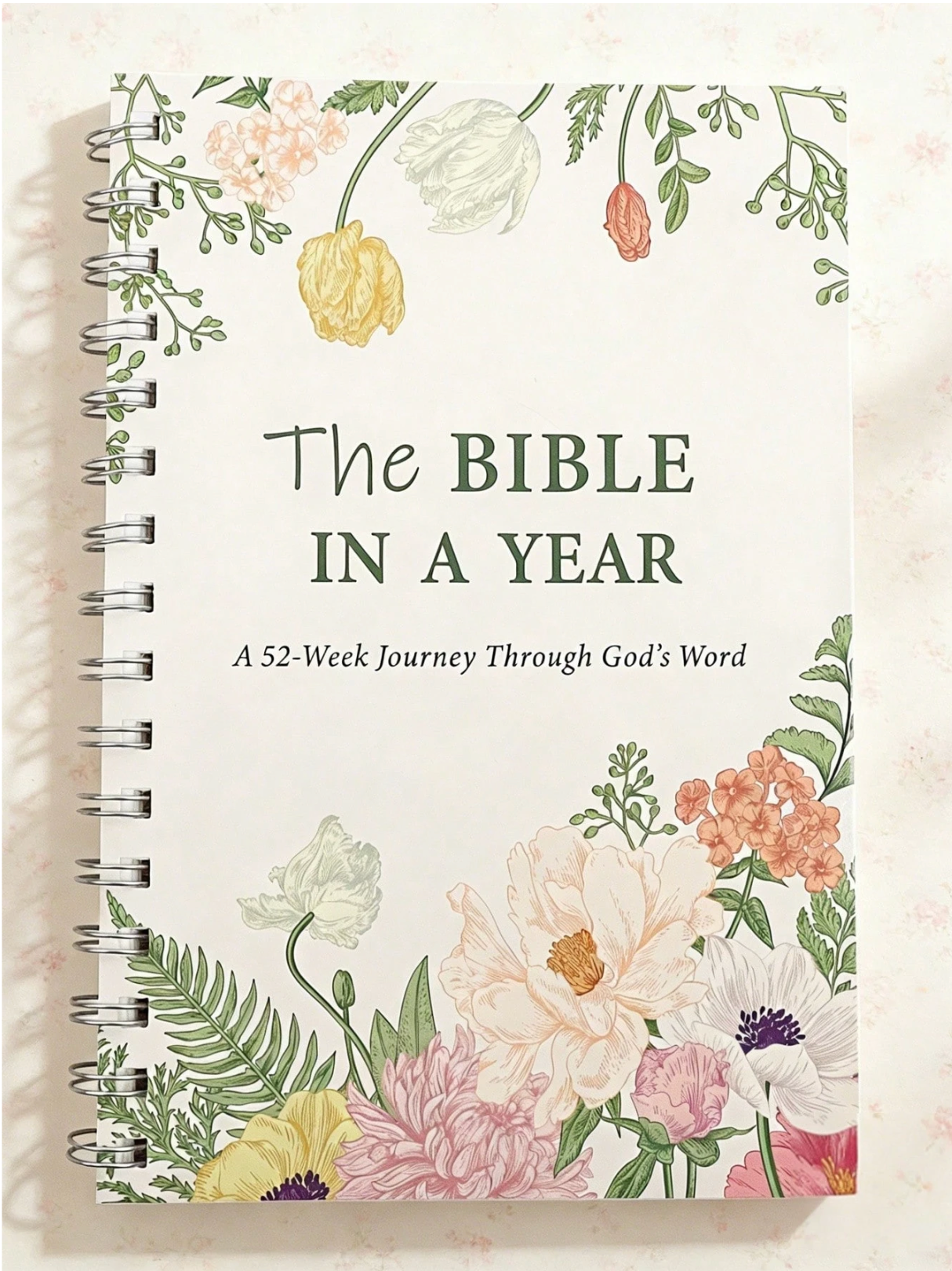 The Bible in a Year: A 52-Week Journey Through God's Word